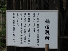 y_Ёim{sj